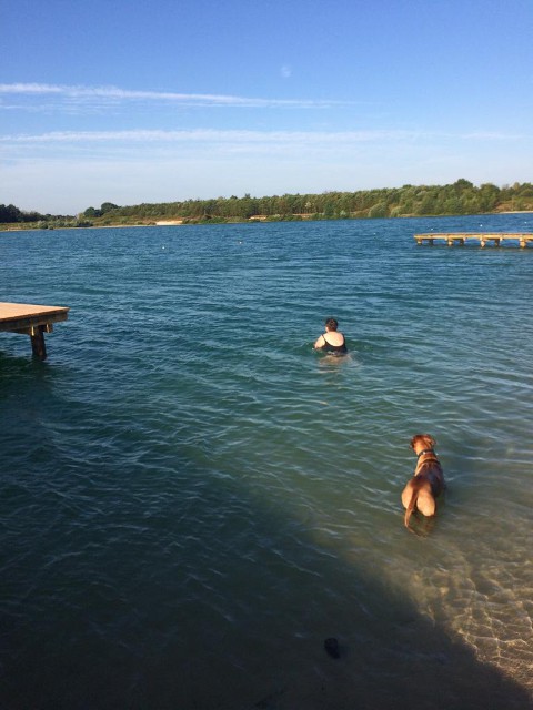 Bild "Henkabenteuer:henk_im_herzogsee_01.jpg"